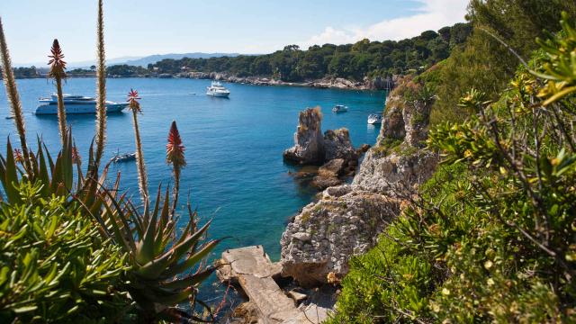 Sentier Littoral Cap Antibes Ville Antibes Juan Les Pins