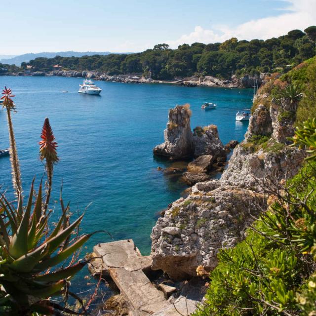 Sentier Littoral Cap Antibes Ville Antibes Juan Les Pins