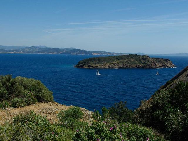 Ile Verte