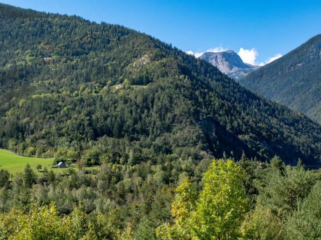 La distillerie Lachanence située à Méolans-Revel est une entreprise familiale. Tous les produits sont labellisés Bio. Les principaux produits sont le limoncello, le génépi, le gin, le wisky et le pastis. La gamme s'étend également à d'autres liqueurs, framboise, myrtille, thym…