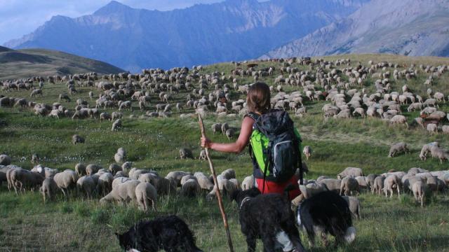 Bergère Ubaye Maison De La Transhumance (1)