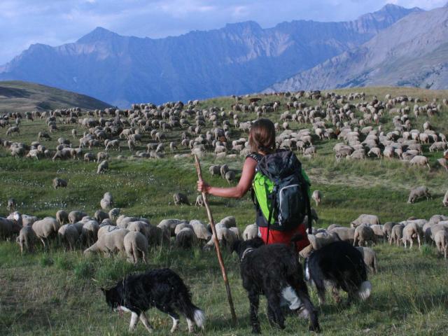 Bergère Ubaye Maison De La Transhumance (1)