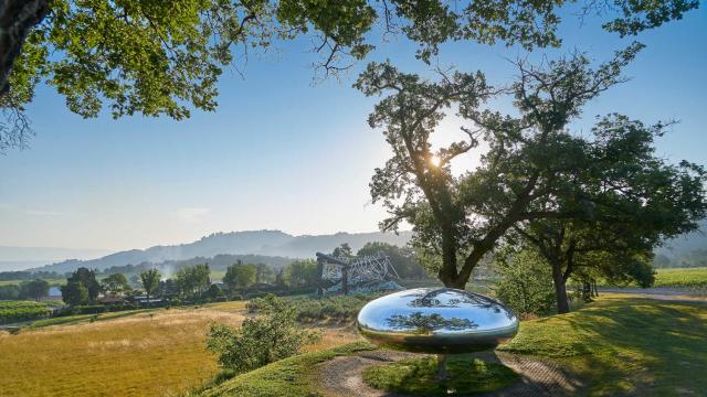 Copyright 2019 Tom Shannon, Photographe Richard Haughton 2017 25776