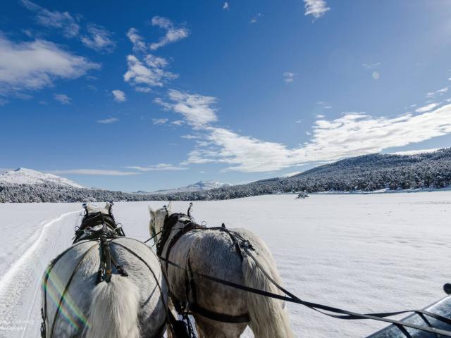 Réserve Monts Azur Hiver 21