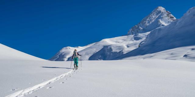 Alpes Randonnée Vers Pain De Sucre @vanrijn