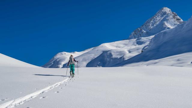 Alpes Randonnée Vers Pain De Sucre @vanrijn