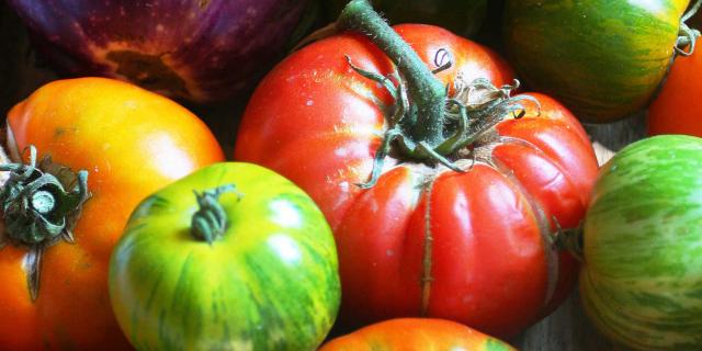 Close-up of old-fashioned tomatoes