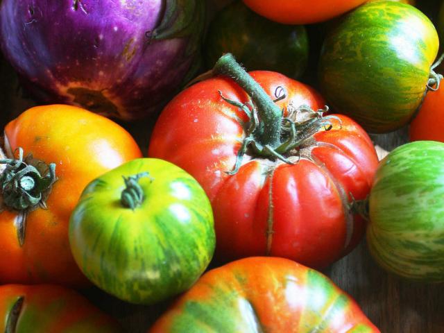 Close-up of old-fashioned tomatoes