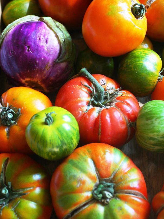 Gros plan sur des tomates à l'ancienne