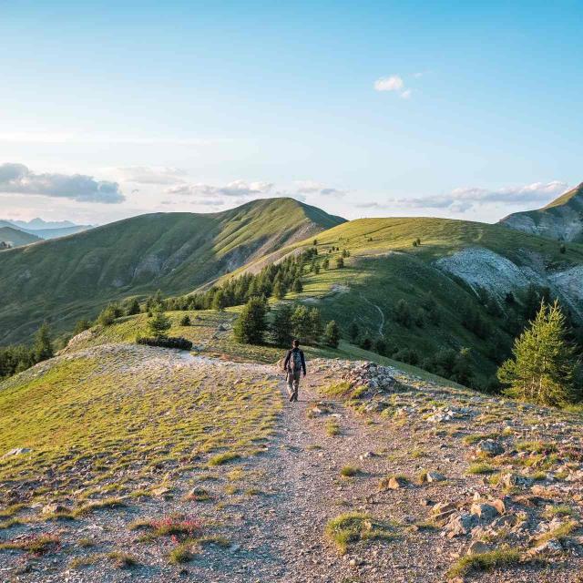 randonnee-rochegrand-allos-ad04-teddy-verneuil.jpg