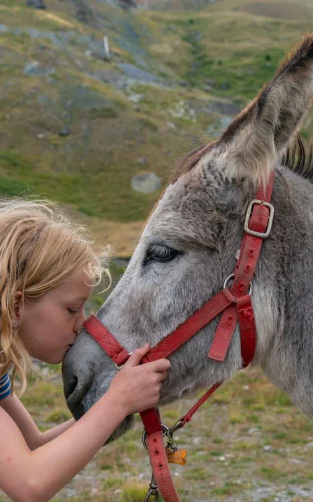 Ane Ferme Pedagogique Alpes