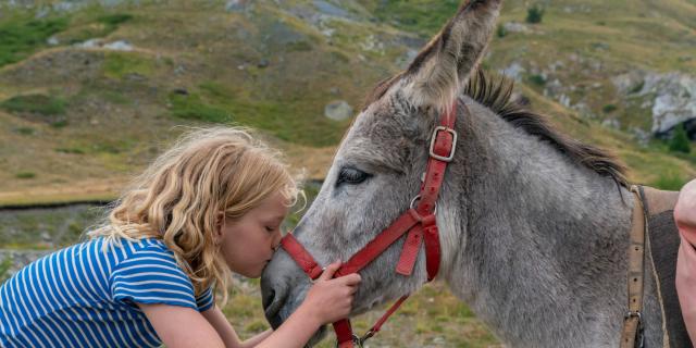 Ane Ferme Pedagogique Alpes