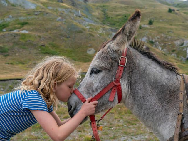 Ane Ferme Pedagogique Alpes