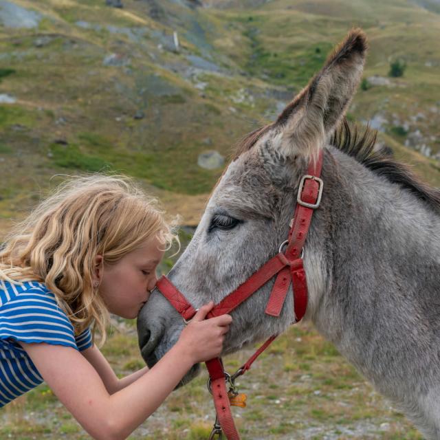 Ane Ferme Pedagogique Alpes