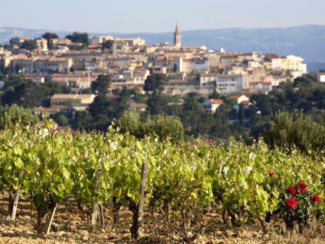 Castellet Domaine De Bunan Bandol