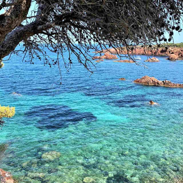 Crique Massif De L Esterel