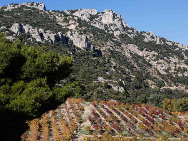 Mont Ventoux