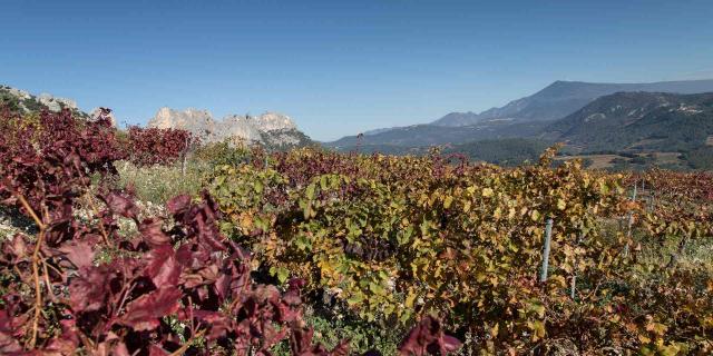 Mont Ventoux Pays De Sault Comtat Venaissin Vaucluse