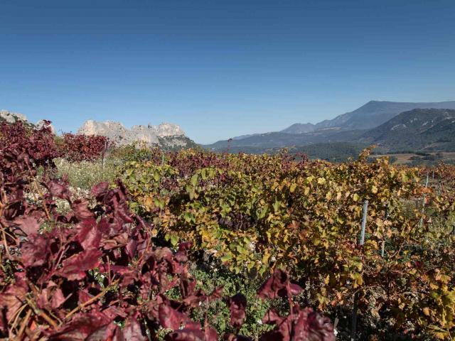 Mont Ventoux Pays De Sault Comtat Venaissin Vaucluse