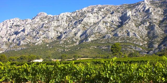 Montagne Sainte Victoire Vignes