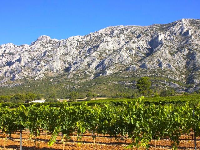 Montagne Sainte Victoire Vignes