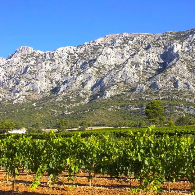 Montagne Sainte Victoire Vignes