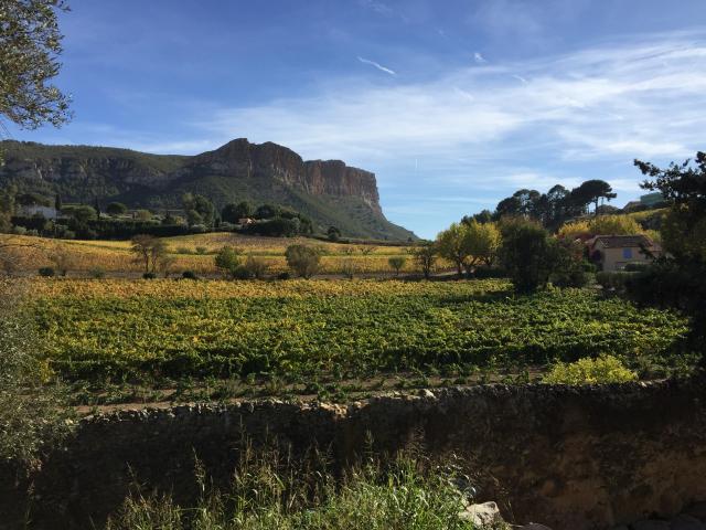 Vignoble Cassis Et Le Cap Canaille