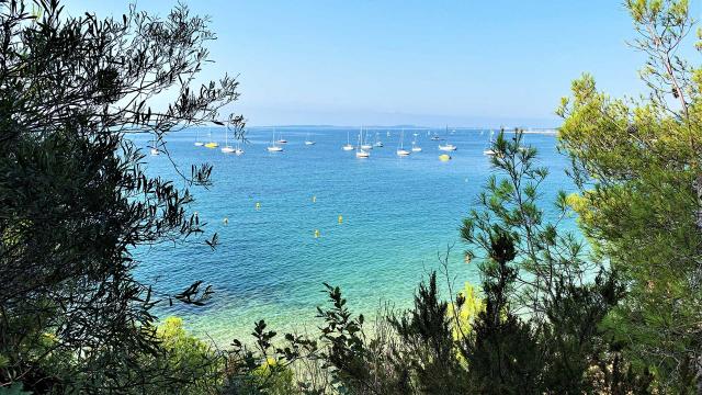 Argentiere La Londe Les Maures