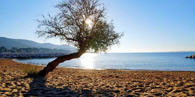 Plage Carqueiranne Var