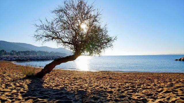 Plage Carqueiranne Var