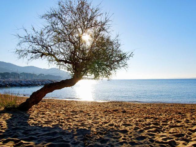 Plage Carqueiranne Var