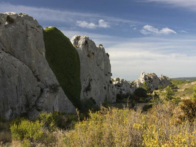 ecotourisme-alpilles-caissejeanjean-ofougeroux