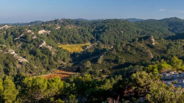 ecotourisme-alpilles-ndduchateau1-ofougeroux