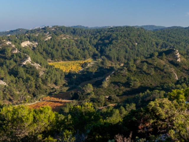 ecotourisme-alpilles-ndduchateau1-ofougeroux