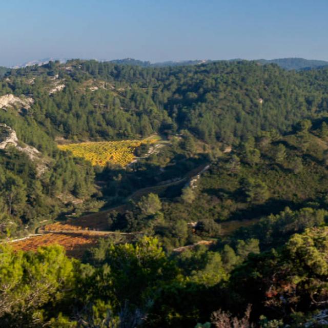 ecotourisme-alpilles-ndduchateau1-ofougeroux