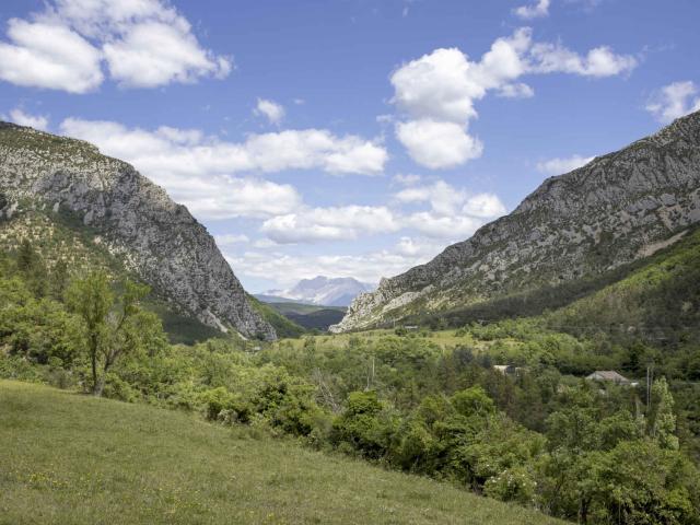 ecotourisme-baronnies-provencales-foret-beynaves-almesnage.jpg