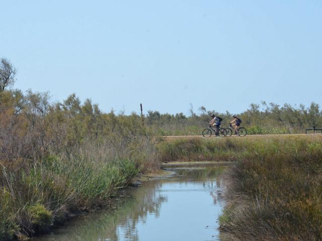 ecotourisme-camargue-marais-salin-de-giraud-mmercier.jpg