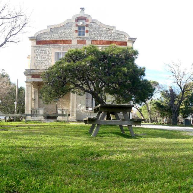 ecotourisme-camargue-raccueil-palissade-eseguier