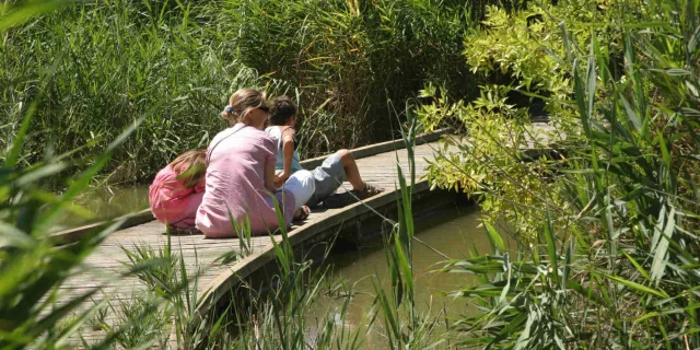 ecotourisme-camargue-sentier-cabanes-marais-du-vigueirat-fmvigueirat