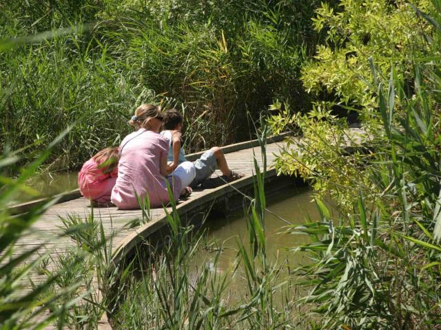 ecotourisme-camargue-sentier-cabanes-marais-du-vigueirat-fmvigueirat.jpg