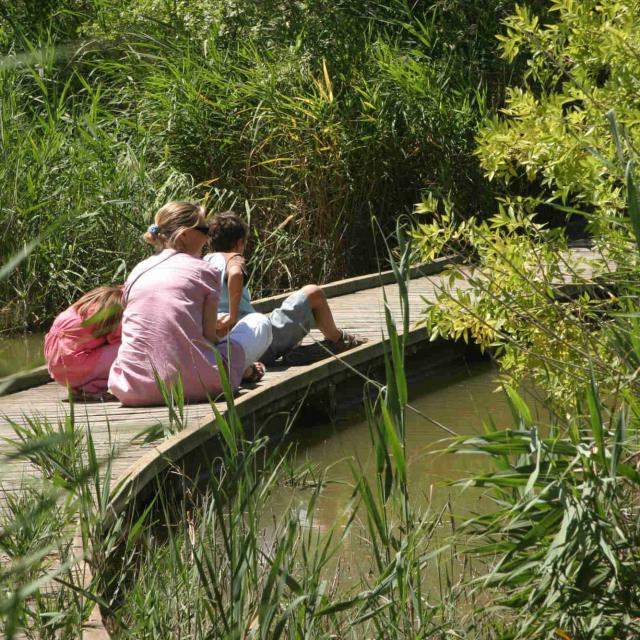 ecotourisme-camargue-sentier-cabanes-marais-du-vigueirat-fmvigueirat