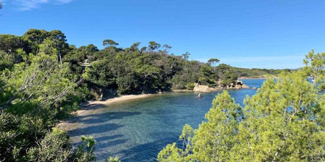 Hyères les Palmiers - Presqu'île de Giens