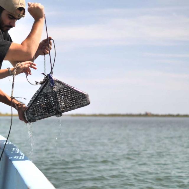 Maria Nieves Castejon Camargue Coquillages