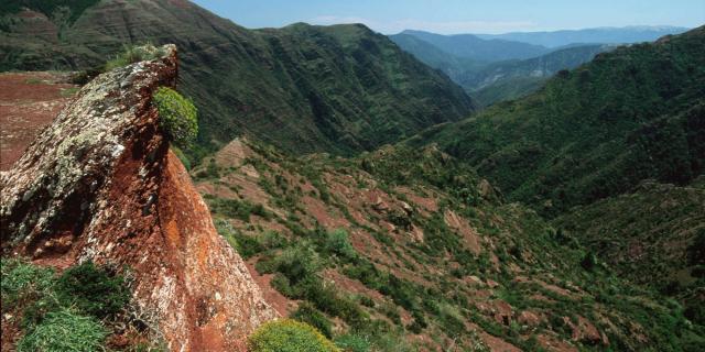 gorges-de-daluis-crtcotedazurfrance-gveran.jpg