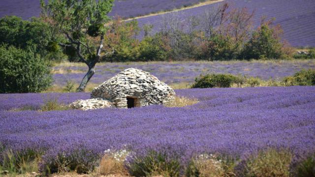Pnrventoux Payssaultborie Vincentthomann