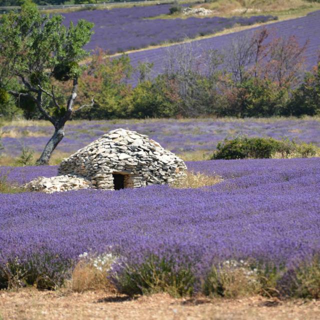 Pnrventoux Payssaultborie Vincentthomann