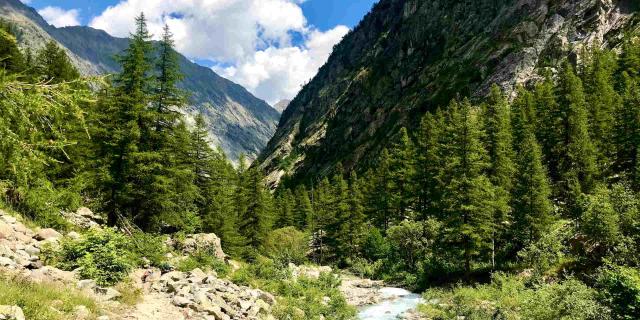 Sentier Randonnée Ailefroide Brianconnais Vallouise Alpes Cchillio.jpg