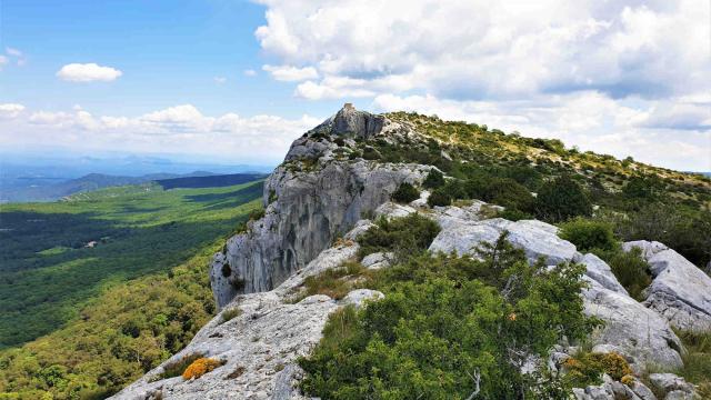 St Baume Crete De La Sainte Baume J.auray