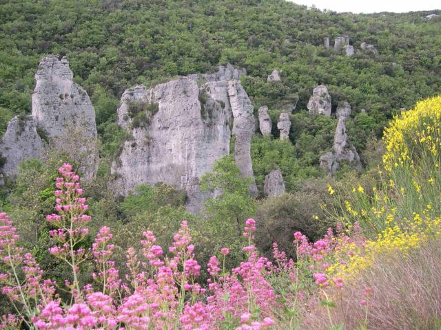 st-baume-meounes-aiguilles-valbelle-giannoni-j-paul.jpg