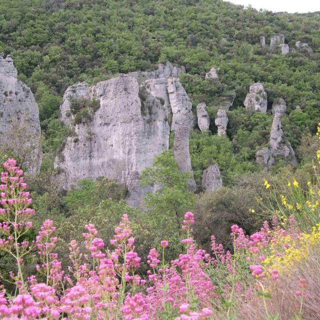 St Baume Meounes Aiguilles Valbelle Giannoni J Paul